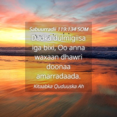 Picture 04 - Sabuurradii 119:134 SOM - Dadka dulmigiisa iga bixi, Oo anna waxaan dhawri - Bible Verse Picture