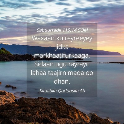 Picture 04 - Sabuurradii 119:14 SOM - Waxaan ku reyreeyey jidka markhaatifurkaaga, - Bible Verse Picture