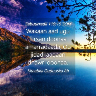 Picture 04 - Sabuurradii 119:15 SOM - Waxaan aad ugu fiirsan doonaa amarradaada, Oo - Bible Verse Picture