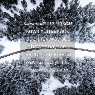 Picture 04 - Sabuurradii 119:150 SOM - Kuwii xumaatada raaci jiray way soo dhowaanayaan, - Bible Verse Picture