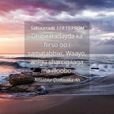 Picture 04 - Sabuurradii 119:153 SOM - Dhibaatadayda ka fiirso oo i samatabbixi, Waayo, - Bible Verse Picture