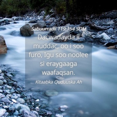 Picture 04 - Sabuurradii 119:154 SOM - Dacwadayda ii muddac, oo i soo furo, Igu soo - Bible Verse Picture