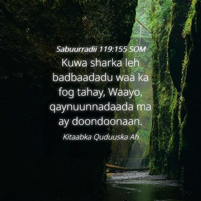 Picture 04 - Sabuurradii 119:155 SOM - Kuwa sharka leh badbaadadu waa ka fog tahay, - Bible Verse Picture
