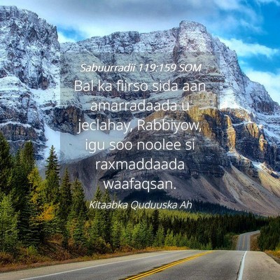 Picture 04 - Sabuurradii 119:159 SOM - Bal ka fiirso sida aan amarradaada u jeclahay, - Bible Verse Picture