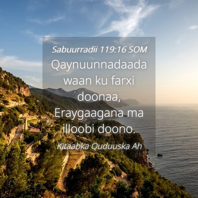 Picture 04 - Sabuurradii 119:16 SOM - Qaynuunnadaada waan ku farxi doonaa, Eraygaagana - Bible Verse Picture