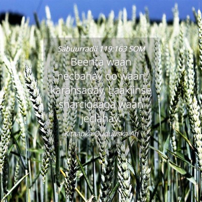 Picture 04 - Sabuurradii 119:163 SOM - Beenta waan necbahay oo waan karahsaday, - Bible Verse Picture