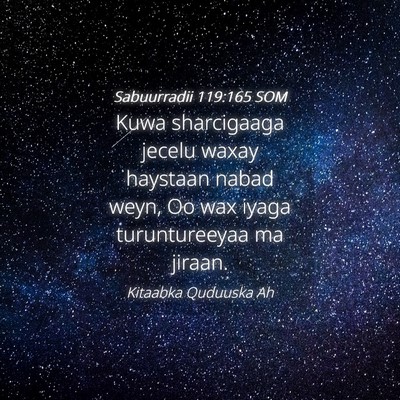 Picture 04 - Sabuurradii 119:165 SOM - Kuwa sharcigaaga jecelu waxay haystaan nabad - Bible Verse Picture