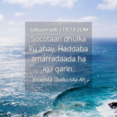 Picture 04 - Sabuurradii 119:19 SOM - Socotaan dhulka ku ahay, Haddaba amarradaada ha - Bible Verse Picture