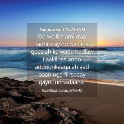 Picture 04 - Sabuurradii 119:23 SOM - Oo weliba amiirraa fadhiistay oo wax iga gees ah - Bible Verse Picture