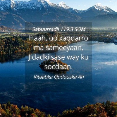 Picture 04 - Sabuurradii 119:3 SOM - Haah, oo xaqdarro ma sameeyaan, Jidadkiisase way - Bible Verse Picture