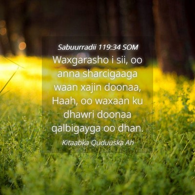 Picture 04 - Sabuurradii 119:34 SOM - Waxgarasho i sii, oo anna sharcigaaga waan xajin - Bible Verse Picture