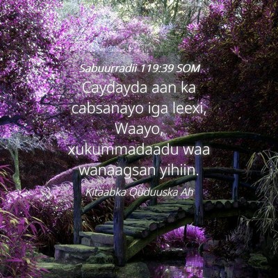 Picture 04 - Sabuurradii 119:39 SOM - Caydayda aan ka cabsanayo iga leexi, Waayo, - Bible Verse Picture