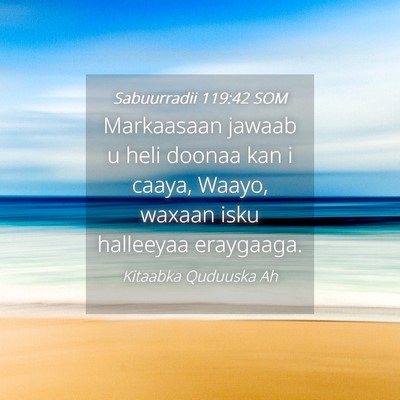 Picture 04 - Sabuurradii 119:42 SOM - Markaasaan jawaab u heli doonaa kan i caaya, - Bible Verse Picture