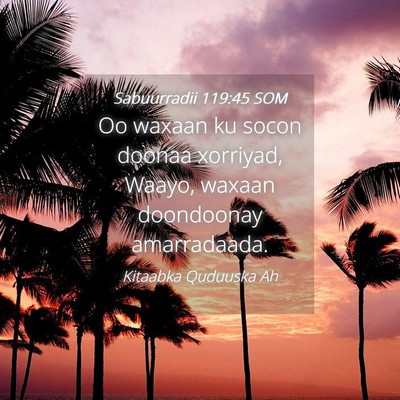 Picture 04 - Sabuurradii 119:45 SOM - Oo waxaan ku socon doonaa xorriyad, Waayo, waxaan - Bible Verse Picture