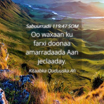 Picture 04 - Sabuurradii 119:47 SOM - Oo waxaan ku farxi doonaa amarradaada Aan - Bible Verse Picture