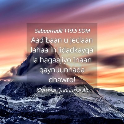 Picture 04 - Sabuurradii 119:5 SOM - Aad baan u jeclaan lahaa in jidadkayga la - Bible Verse Picture