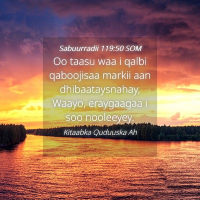 Picture 04 - Sabuurradii 119:50 SOM - Oo taasu waa i qalbi qaboojisaa markii aan - Bible Verse Picture