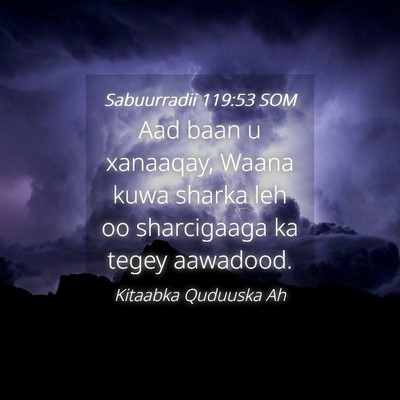 Picture 04 - Sabuurradii 119:53 SOM - Aad baan u xanaaqay, Waana kuwa sharka leh oo - Bible Verse Picture