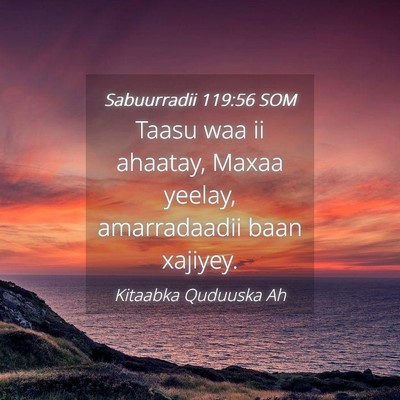 Picture 04 - Sabuurradii 119:56 SOM - Taasu waa ii ahaatay, Maxaa yeelay, amarradaadii - Bible Verse Picture
