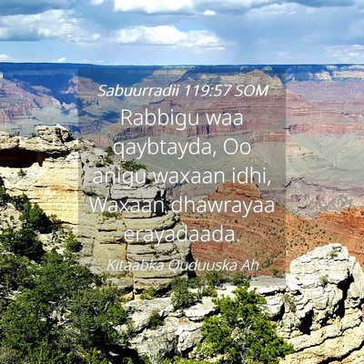 Picture 04 - Sabuurradii 119:57 SOM - Rabbigu waa qaybtayda, Oo anigu waxaan idhi, - Bible Verse Picture