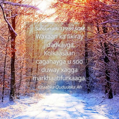 Picture 04 - Sabuurradii 119:59 SOM - Waxaan ka fikiray jidadkayga, Kolkaasaan - Bible Verse Picture