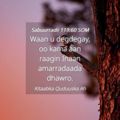 Picture 04 - Sabuurradii 119:60 SOM - Waan u degdegay, oo kama aan raagin Inaan - Bible Verse Picture