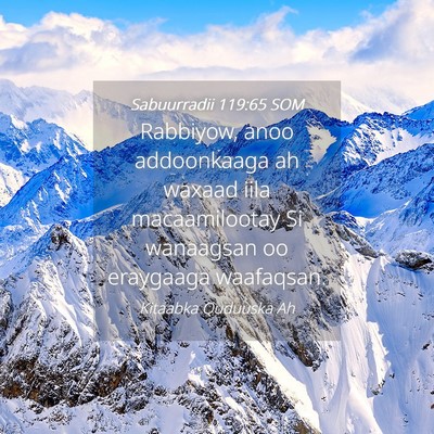 Picture 04 - Sabuurradii 119:65 SOM - Rabbiyow, anoo addoonkaaga ah waxaad iila - Bible Verse Picture