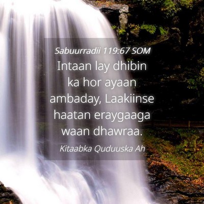 Picture 04 - Sabuurradii 119:67 SOM - Intaan lay dhibin ka hor ayaan ambaday, Laakiinse - Bible Verse Picture