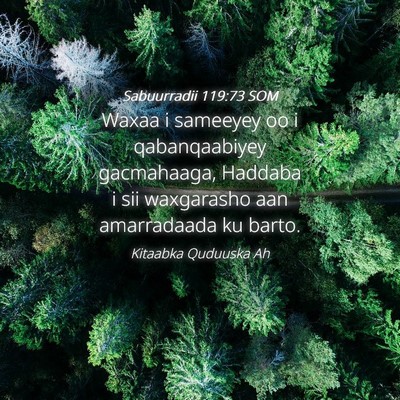Picture 04 - Sabuurradii 119:73 SOM - Waxaa i sameeyey oo i qabanqaabiyey gacmahaaga, - Bible Verse Picture