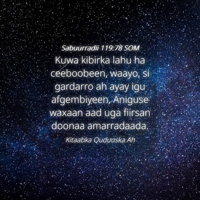 Picture 04 - Sabuurradii 119:78 SOM - Kuwa kibirka lahu ha ceeboobeen, waayo, si - Bible Verse Picture