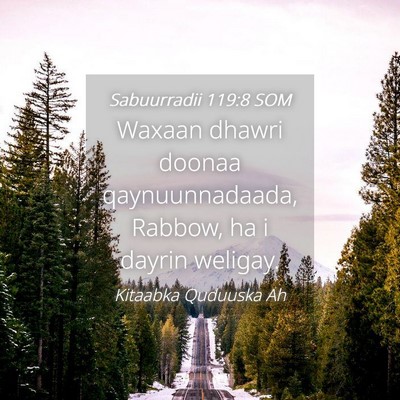 Picture 04 - Sabuurradii 119:8 SOM - Waxaan dhawri doonaa qaynuunnadaada, Rabbow, ha i - Bible Verse Picture
