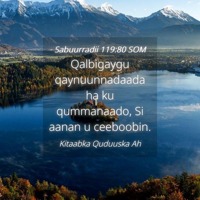 Picture 04 - Sabuurradii 119:80 SOM - Qalbigaygu qaynuunnadaada ha ku qummanaado, Si - Bible Verse Picture