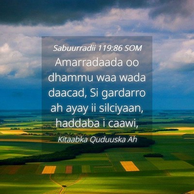 Picture 04 - Sabuurradii 119:86 SOM - Amarradaada oo dhammu waa wada daacad, Si - Bible Verse Picture
