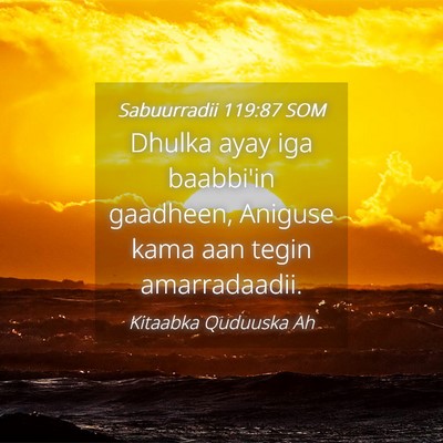 Picture 04 - Sabuurradii 119:87 SOM - Dhulka ayay iga baabbi'in gaadheen, Aniguse kama - Bible Verse Picture