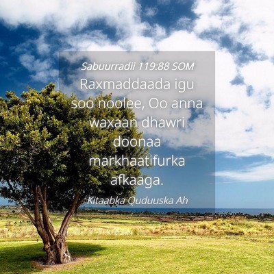 Picture 04 - Sabuurradii 119:88 SOM - Raxmaddaada igu soo noolee, Oo anna waxaan dhawri - Bible Verse Picture