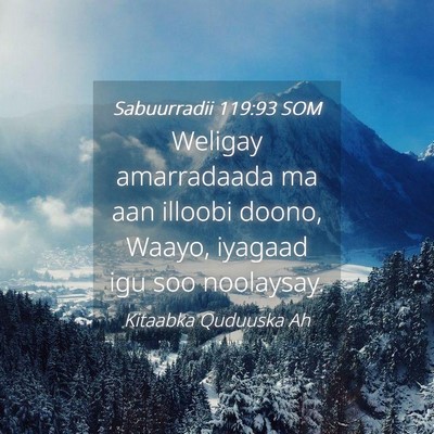 Picture 04 - Sabuurradii 119:93 SOM - Weligay amarradaada ma aan illoobi doono, Waayo, - Bible Verse Picture