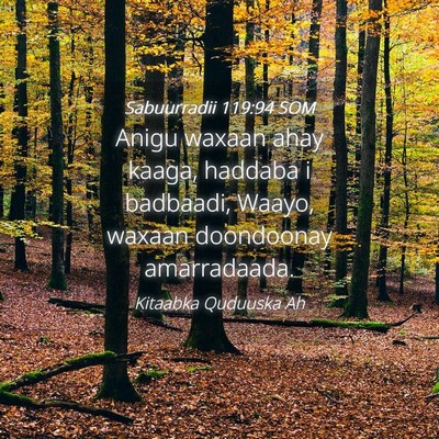 Picture 04 - Sabuurradii 119:94 SOM - Anigu waxaan ahay kaaga, haddaba i badbaadi, - Bible Verse Picture