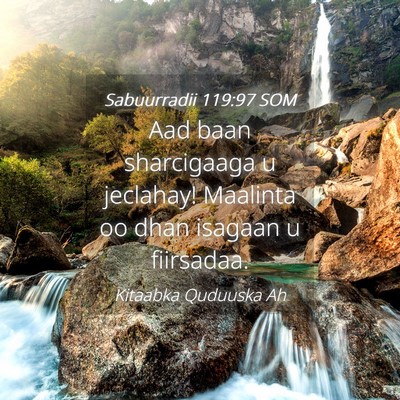 Picture 04 - Sabuurradii 119:97 SOM - Aad baan sharcigaaga u jeclahay! Maalinta oo dhan - Bible Verse Picture