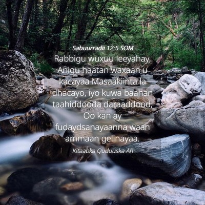 Picture 04 - Sabuurradii 12:5 SOM - Rabbigu wuxuu leeyahay, Anigu haatan waxaan u - Bible Verse Picture