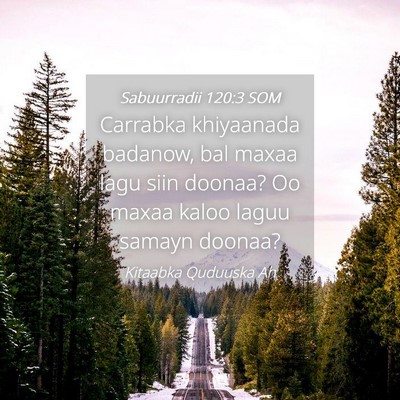 Picture 04 - Sabuurradii 120:3 SOM - Carrabka khiyaanada badanow, bal maxaa lagu siin - Bible Verse Picture