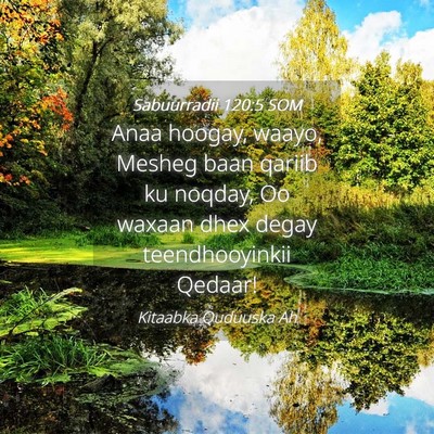Picture 04 - Sabuurradii 120:5 SOM - Anaa hoogay, waayo, Mesheg baan qariib ku noqday, - Bible Verse Picture