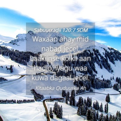 Picture 04 - Sabuurradii 120:7 SOM - Waxaan ahay mid nabad jecel, Laakiinse kolkii aan - Bible Verse Picture