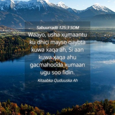Picture 04 - Sabuurradii 125:3 SOM - Waayo, usha xumaantu ku dhici mayso qaybta kuwa - Bible Verse Picture
