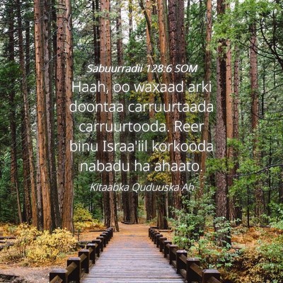 Picture 04 - Sabuurradii 128:6 SOM - Haah, oo waxaad arki doontaa carruurtaada - Bible Verse Picture