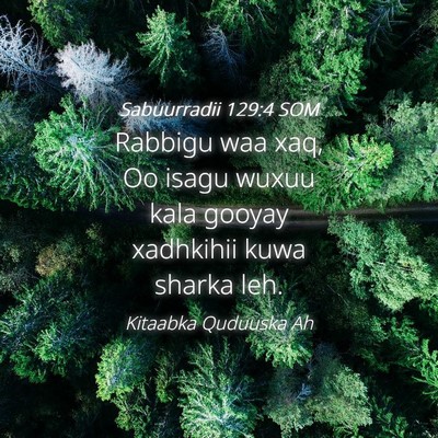 Picture 04 - Sabuurradii 129:4 SOM - Rabbigu waa xaq, Oo isagu wuxuu kala gooyay - Bible Verse Picture