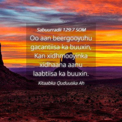 Picture 04 - Sabuurradii 129:7 SOM - Oo aan beergooyuhu gacantiisa ka buuxin, Kan - Bible Verse Picture