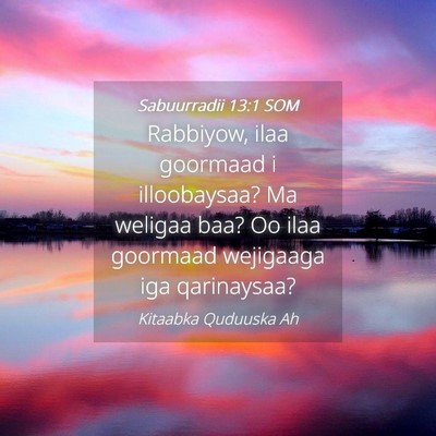 Picture 04 - Sabuurradii 13:1 SOM - Rabbiyow, ilaa goormaad i illoobaysaa? Ma weligaa - Bible Verse Picture