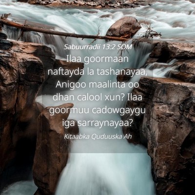 Picture 04 - Sabuurradii 13:2 SOM - Ilaa goormaan naftayda la tashanayaa, Anigoo - Bible Verse Picture