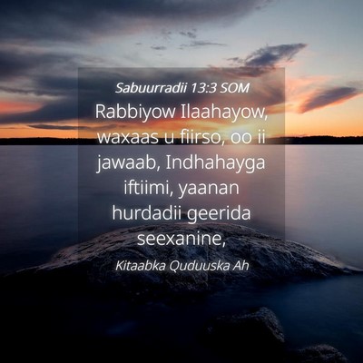 Picture 04 - Sabuurradii 13:3 SOM - Rabbiyow Ilaahayow, waxaas u fiirso, oo ii - Bible Verse Picture