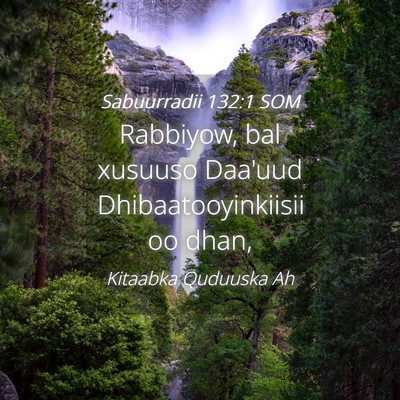 Picture 04 - Sabuurradii 132:1 SOM - Rabbiyow, bal xusuuso Daa'uud Dhibaatooyinkiisii - Bible Verse Picture